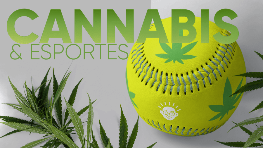 Ansiedade: o que é, tipos, como controlar, benefícios da Cannabis